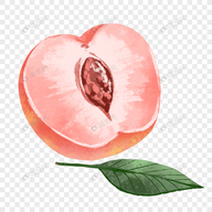 WWW,453av·COM网站APPAPP应用