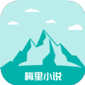91视频在线APPAPP应用