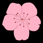 WWW,349se·COM网站APPAPP应用