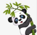 91综合视频APPAPP应用